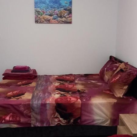 Strada Banu Mihalcea Nr. 150 Villa Constanta Ngoại thất bức ảnh