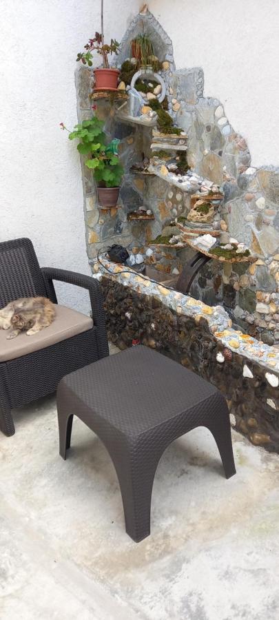 Strada Banu Mihalcea Nr. 150 Villa Constanta Ngoại thất bức ảnh