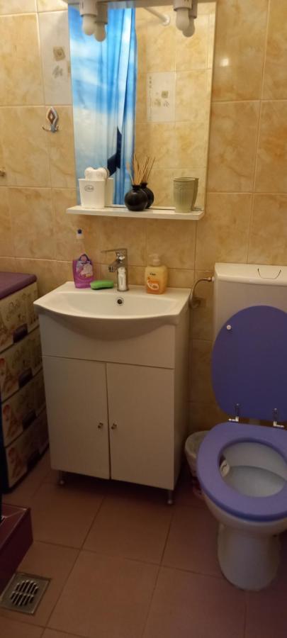 Strada Banu Mihalcea Nr. 150 Villa Constanta Ngoại thất bức ảnh